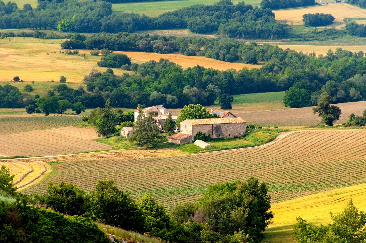 L'image sélectionnée